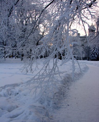 Снежный лес снят в Александровском саду и на Сенатской площади - в самом центре Санкт-Петербурга.