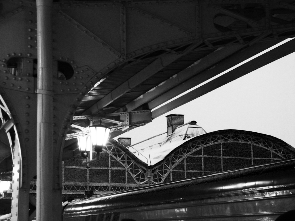 Дебаркадер Витебского вокзала, имеющий арочное перекрытие. Автор — инженер В. С. Герсон.